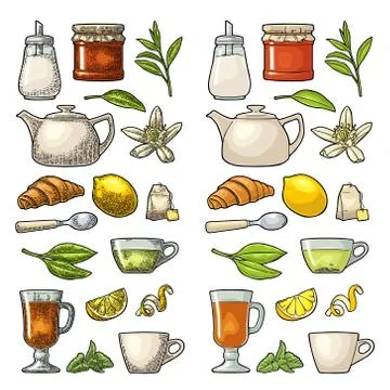 Cup wit tea and branch with leaves. Vector vintage engraving Illustrazione stock