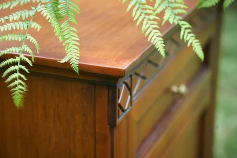 Cupboard standing in a forest Stock Photos