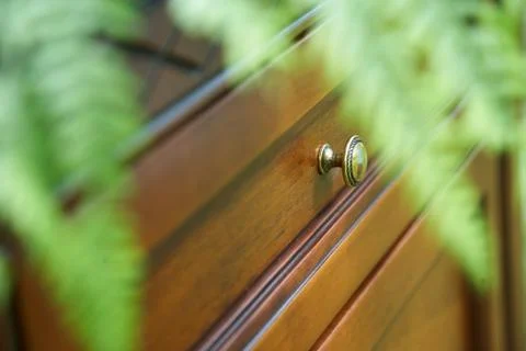 Cupboard standing in a forest Foto stock