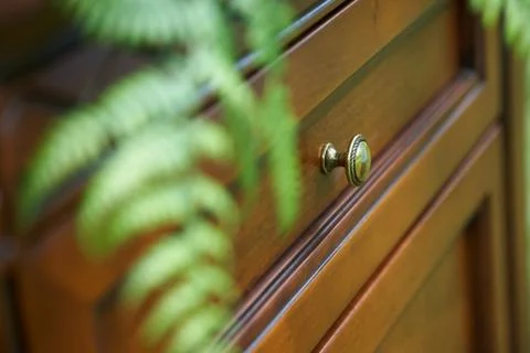 Cupboard standing in a forest Stock Photos