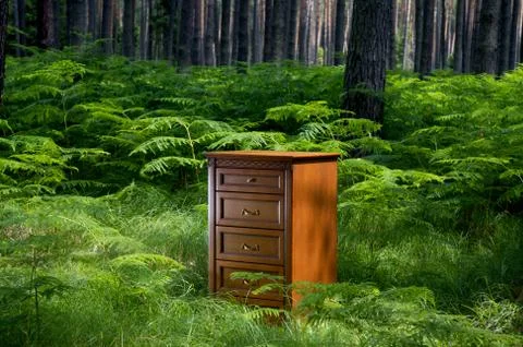 Cupboard standing in a forest Stock Photos