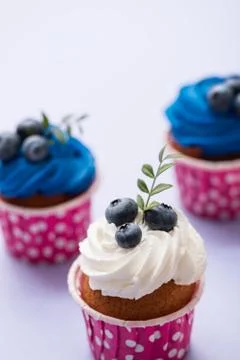 Cupcake with bluberry closeup shot Fotos de archivo