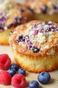 Cupcake with blueberries Stock Photos