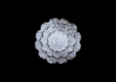 Cupcake dusted with icing sugar Stock Photos