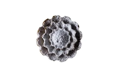 Cupcake dusted with icing sugar Stock Photos