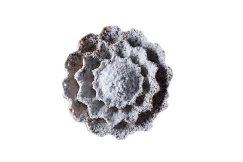 Cupcake dusted with icing sugar Stock Photos