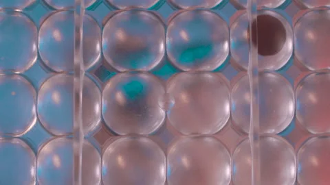 Cupcake forms Stock-Footage 138551117
