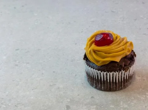 Cupcake on a light grey background Stock Photos