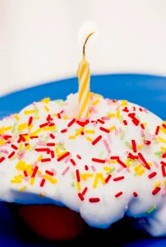 Cupcake with a lit candle Stock Photos