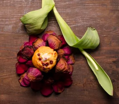 Cupcake with petals Stock Photos