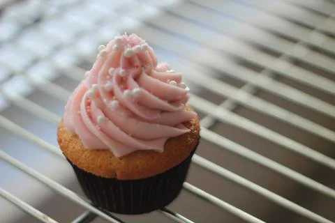 Cupcake Stock Photos
