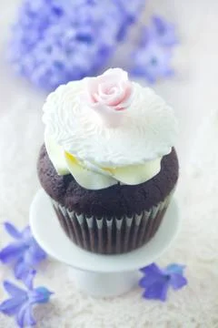 Cupcake Foto stock