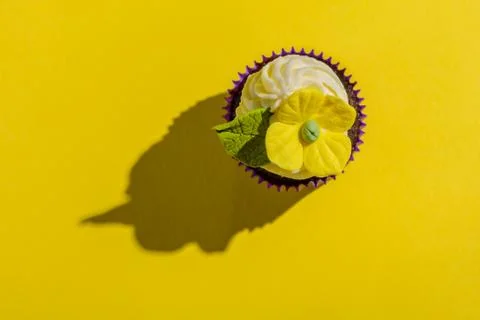 Cupcake in purple wrap on solid yellow background with strong shadow. Top vie Stock Photos