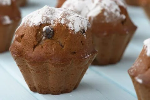 Cupcake with raisins Stock Photos