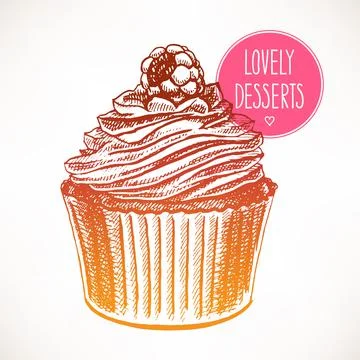 Cupcake with raspberries Stock Illustration