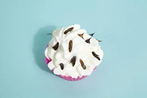 Cupcake rose thorns blue Stock Photos