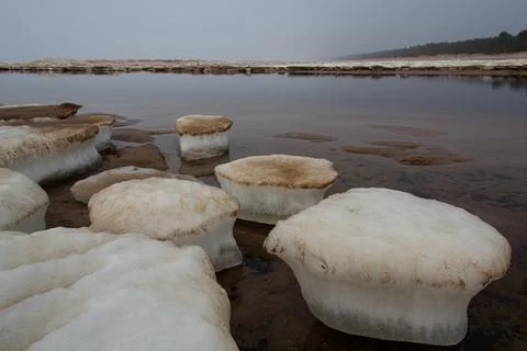 Cupcake - shaped ice cubes on the river bank Stock Photos