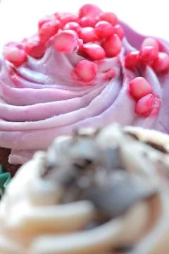 Cupcake on white Stock Photos
