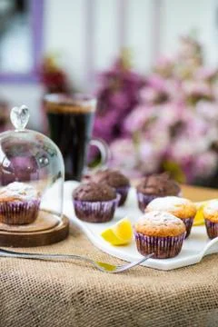 Cupcakes for breakfast Stock Photos
