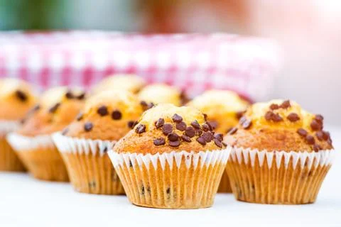 Cupcakes with chocolate Stock Photos