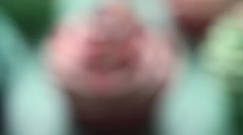 Cupcakes Stock Footage 1103030