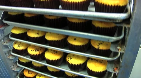 Cupcakes Stock Footage 56902966