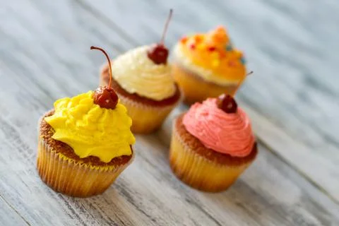 Cupcakes on gray background. Stock Photos