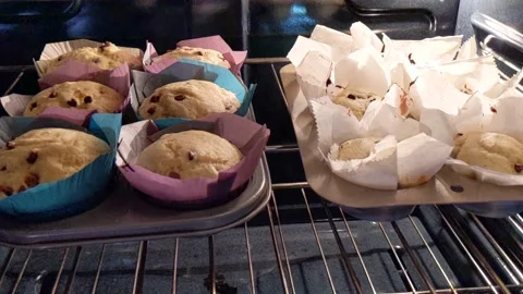 Cupcakes in a muffin pan Stock Footage 156523856
