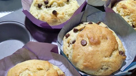 Cupcakes in a muffin pan Stock Footage 156523874