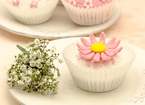 Cupcakes Stock Photos