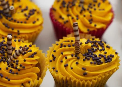 Cupcakes Stock Photos