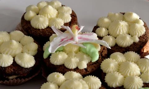 Cupcakes Stock Photos