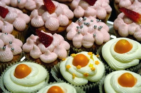 Cupcakes 스톡 사진