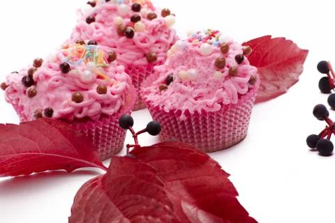 Cupcakes Stock Photos