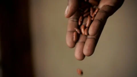 Cupped Hand Pouring multiple Red Kidney Beans in Slow Motion Close Up Stock Footage 339971725