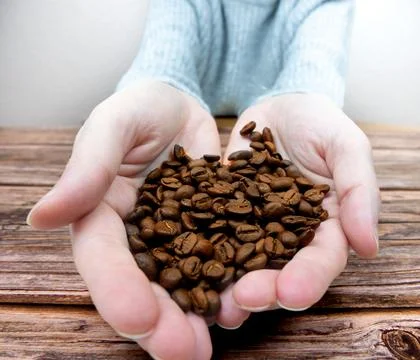 Cupped hands full of roasted coffee beans, care for coffee quality and harv.. Stock Photos