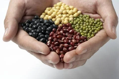  Cupped hands holding multicolored beans and legumes Beijing China Copyrig... Stockfoto's