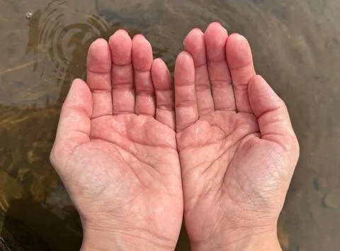 Cupped hands holding water Stock Photos