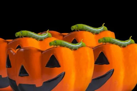 The cups are designed with a pattern of pumpkin. Foto stock