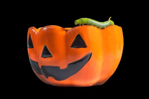 The cups are designed with a pattern of pumpkin. Stock-Fotos