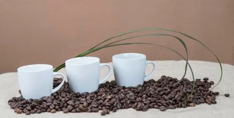 Cups of coffee on the beans Stock Photos