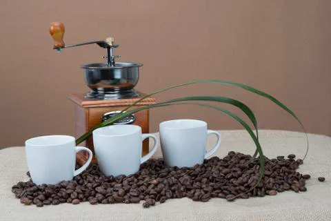 Cups of coffee on the beans Stock Photos