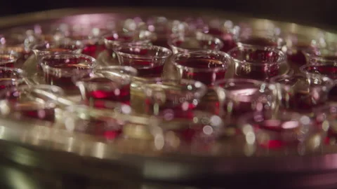 Cups of Communion Wine in on a Plate Stockbeeldmateriaal 208802438