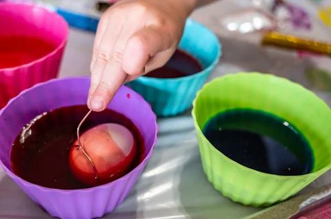 Cups of dye with an egg being lowered in for Easter decorations Stock Photos
