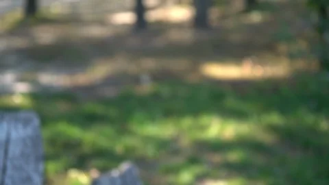 Cups of takeaway coffee on a rustic picnic table Stock Footage 98584227