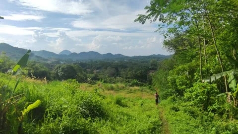 Cupu mountain 스톡 동영상 219143345