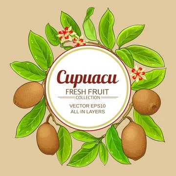 Cupuacu vector frame Illustrazione stock
