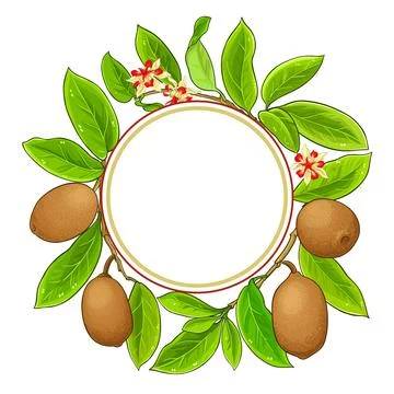 Cupuacu vector frame Illustrazione stock