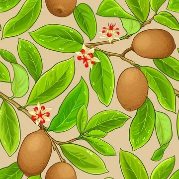 Cupuacu vector pattern Stock Illustration