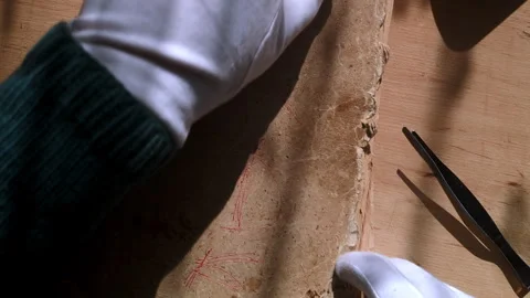 Curator Inspects Aged Diary Notebook Using Professional Archive Gloves Stock Footage 337452211
